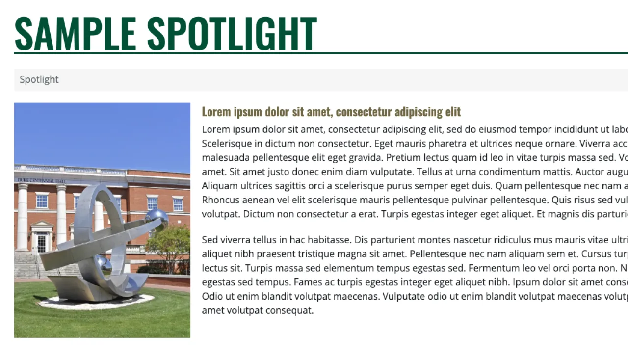 Sample of a Spotlight in Hydraulic v4