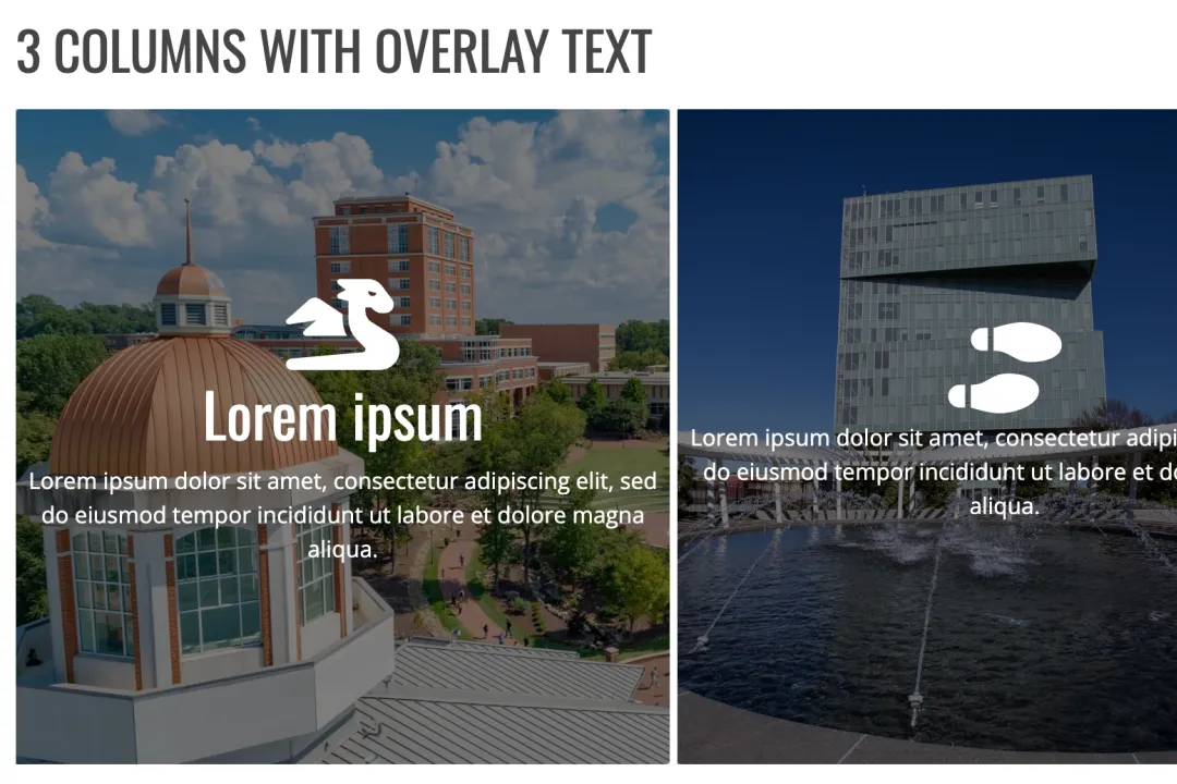 Sample of a 3 Column Media Grid on Hydraulic v4